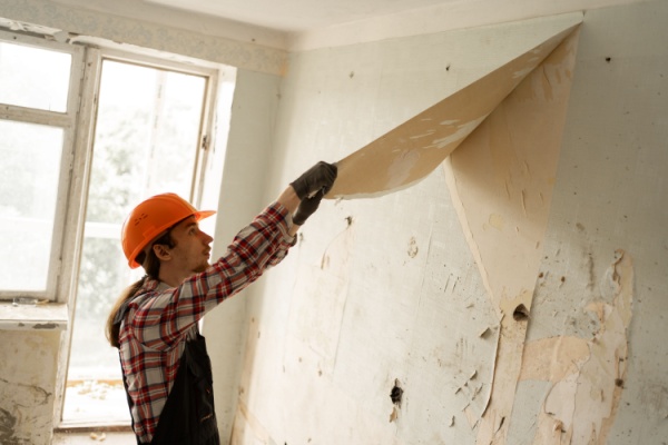 Rejouy - Shutterstock maprimerenovacc 1