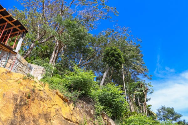 Rejouy - Shutterstock reconstructionmayotte 1