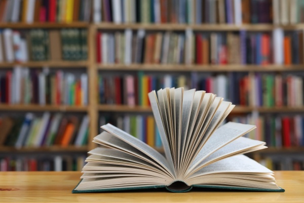 Rejouy - Shutterstock prodindeditionlivres