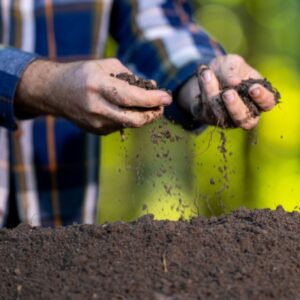 REJOUY - Expertise Comptable Rejouy - Shutterstock fertilisantssolsagri