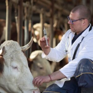 REJOUY - Expertise Comptable Rejouy - Shutterstock maladiesagricoles
