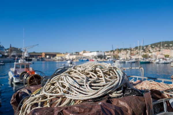 Rejouy - shutterstock marinsmediterrannee