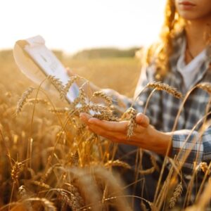 REJOUY - Expertise Comptable Rejouy - shutterstock nonsalariesagricoles
