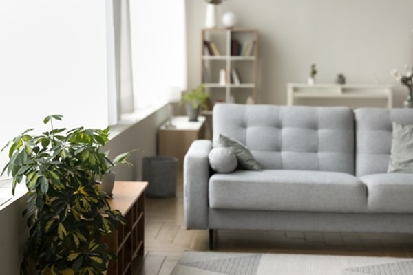 Rejouy - shutterstock seuillocationmeuble