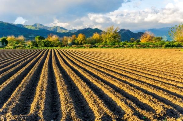 Rejouy - shutterstock terresagric 1