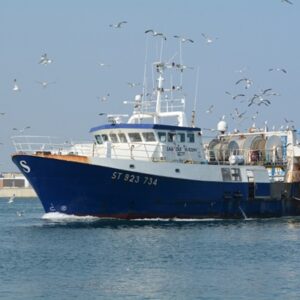 Rejouy - shutterstock entreprisepecheaidecar