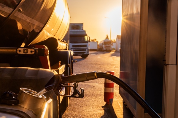 Rejouy - shutterstock leveeinterdictiontransport